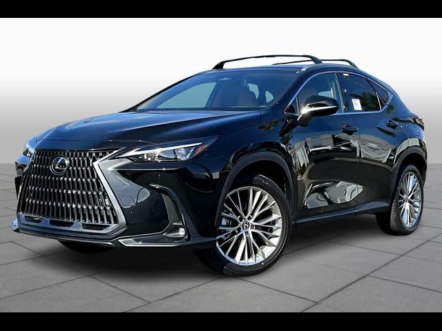 2025 Lexus NX 350h Premium