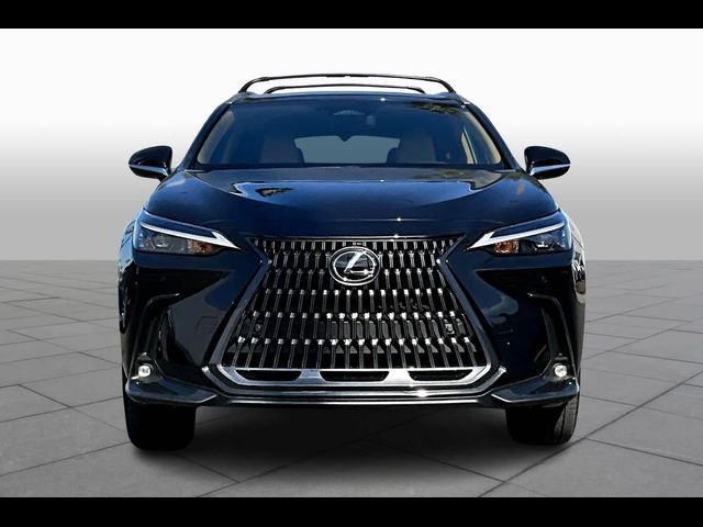 2025 Lexus NX 350h Premium