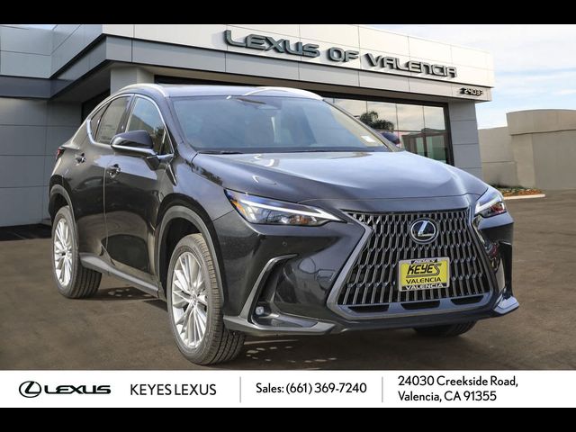 2025 Lexus NX 350h Premium