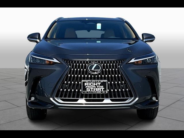 2025 Lexus NX 350h Premium