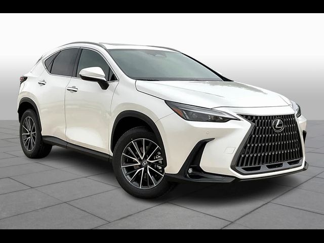 2025 Lexus NX 250 Premium