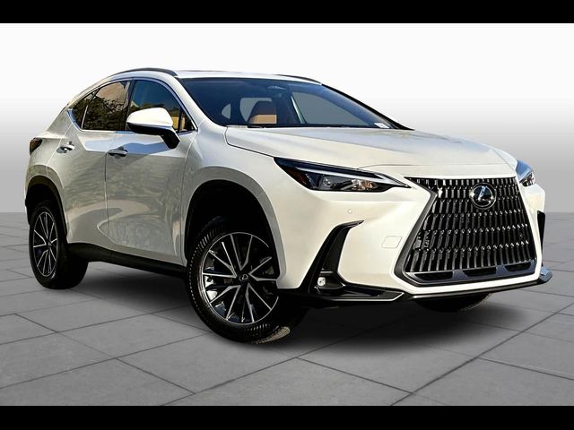 2025 Lexus NX 250 Premium