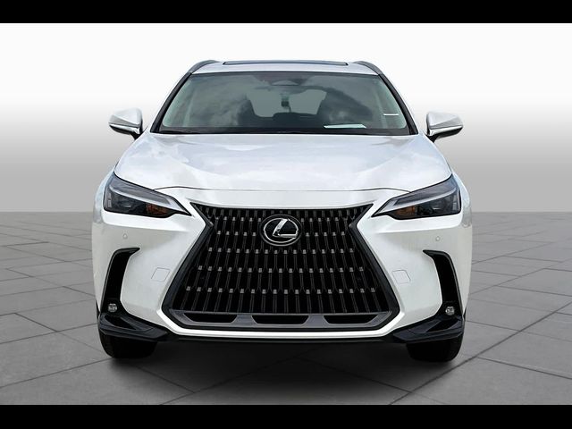 2025 Lexus NX 250 Premium