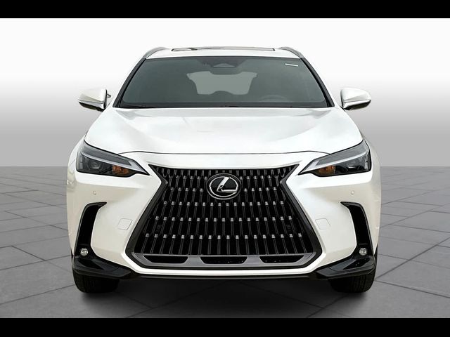 2025 Lexus NX 250 Premium