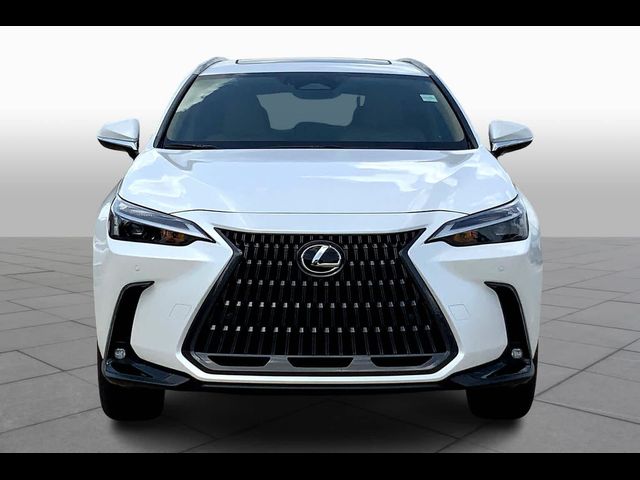 2025 Lexus NX 250 Premium