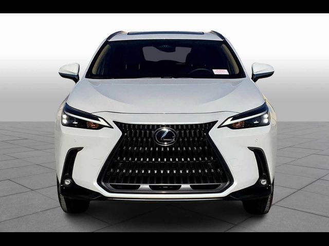 2025 Lexus NX 250 Premium