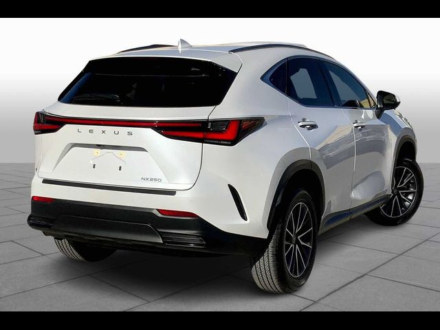 2025 Lexus NX 250 Premium