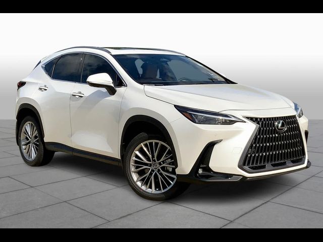 2025 Lexus NX 350 Premium