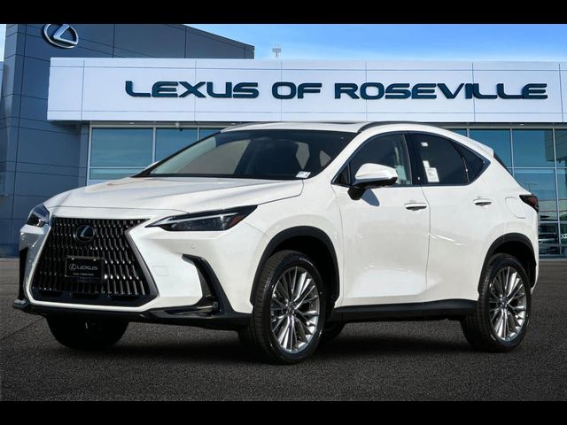 2025 Lexus NX 350 Premium