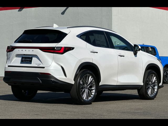 2025 Lexus NX 350 Premium