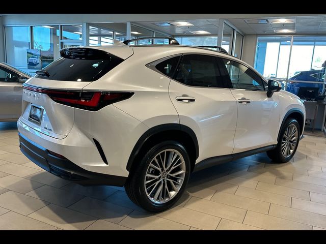 2025 Lexus NX 350 Premium