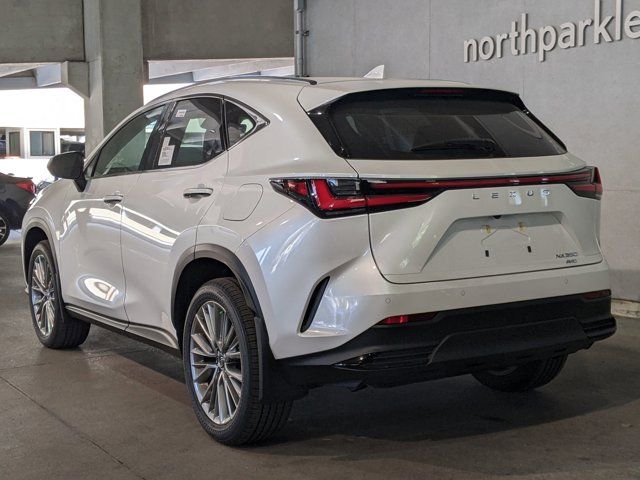 2025 Lexus NX 350 Premium