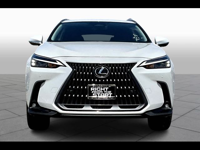 2025 Lexus NX 350 Premium