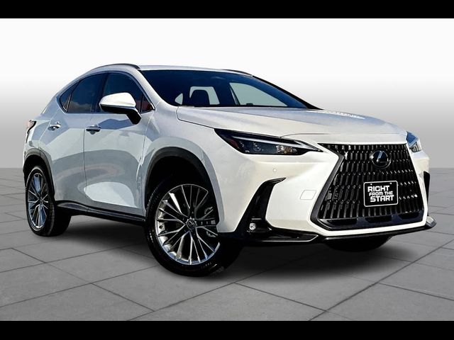 2025 Lexus NX 350 Premium