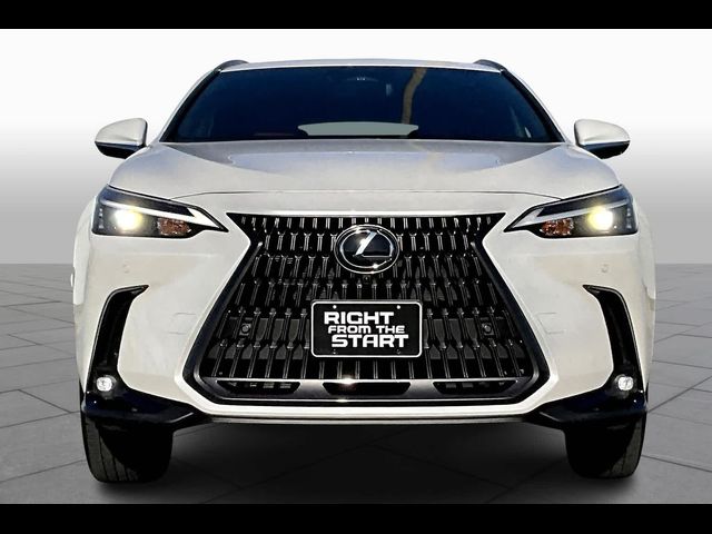 2025 Lexus NX 350 Premium