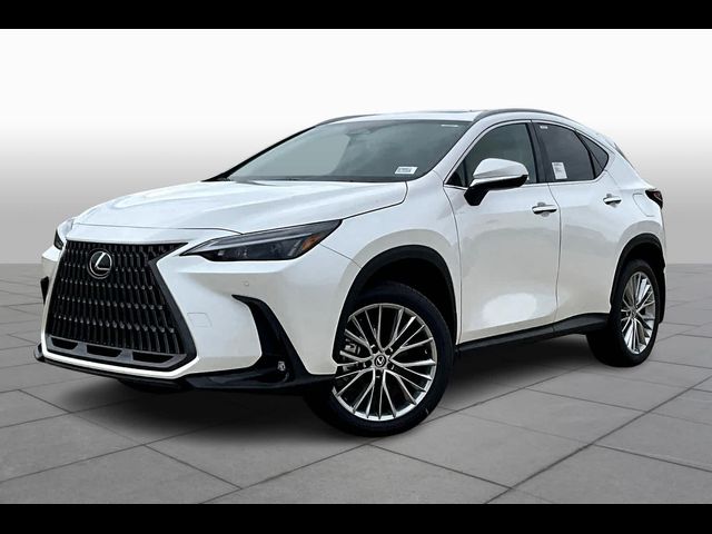 2025 Lexus NX 350 Premium