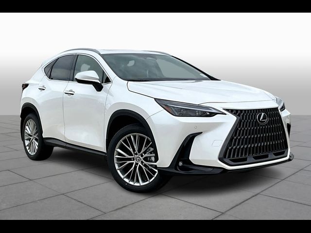 2025 Lexus NX 350 Premium