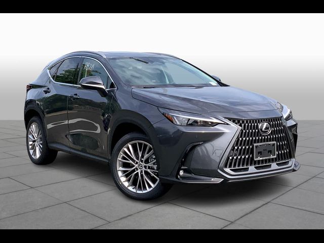 2025 Lexus NX 350h Premium