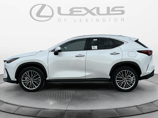 2025 Lexus NX 350h Premium