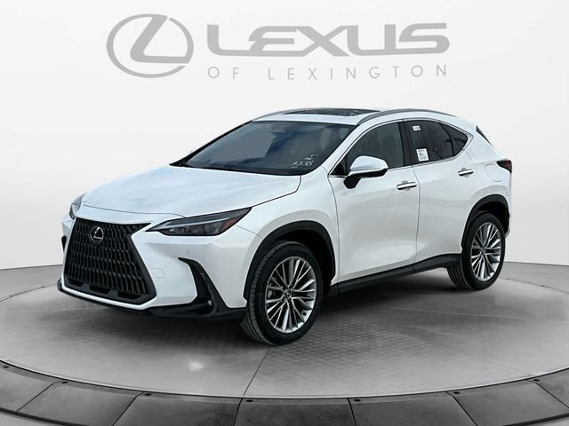 2025 Lexus NX 350h Premium