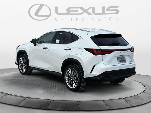 2025 Lexus NX 350h Premium