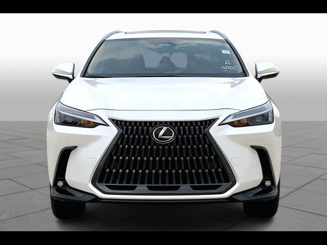 2025 Lexus NX 350h Premium