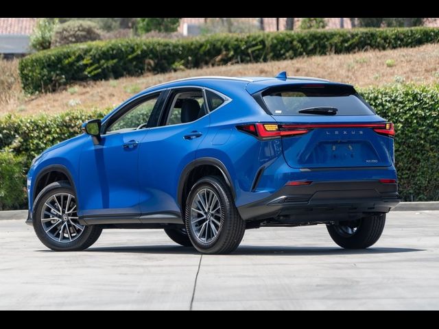 2025 Lexus NX 250