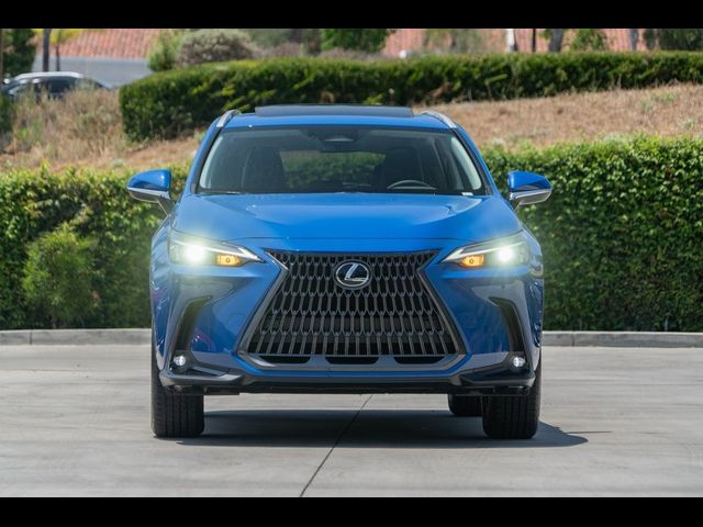 2025 Lexus NX 250