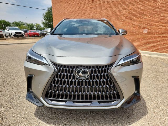 2025 Lexus NX 250