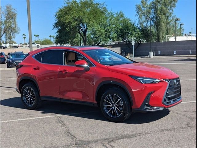 2025 Lexus NX 250