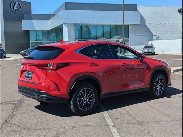 2025 Lexus NX 250