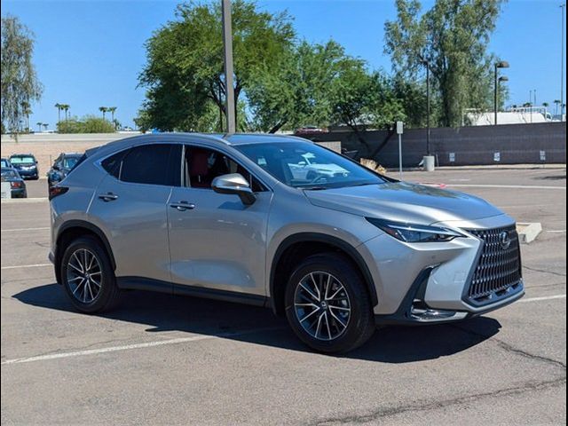 2025 Lexus NX 250