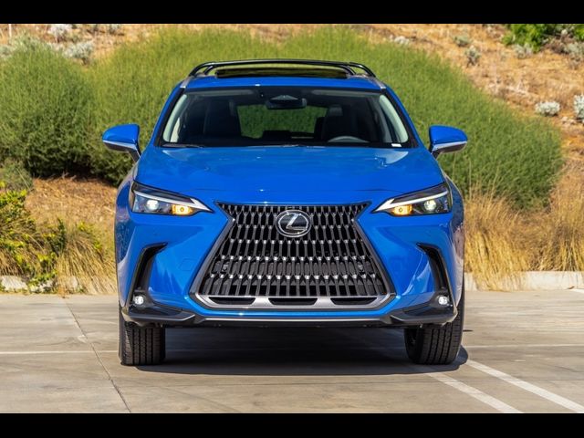 2025 Lexus NX 250