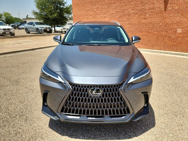 2025 Lexus NX 250