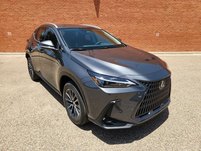 2025 Lexus NX 250