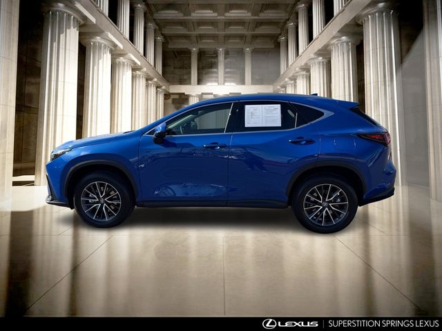 2025 Lexus NX 250