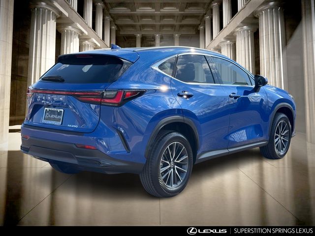 2025 Lexus NX 250