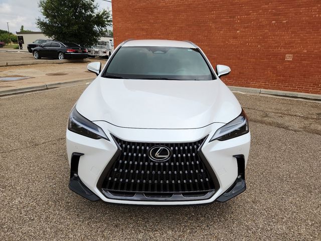 2025 Lexus NX 250