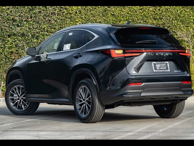 2025 Lexus NX 250