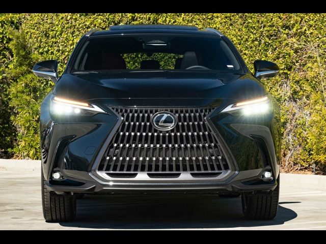 2025 Lexus NX 250