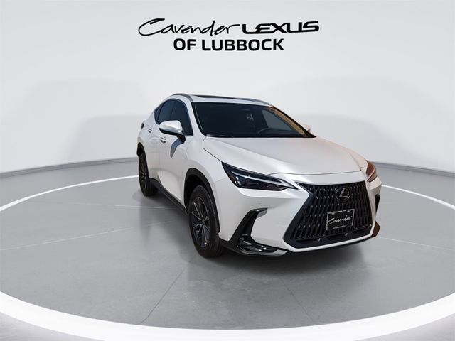 2025 Lexus NX 250