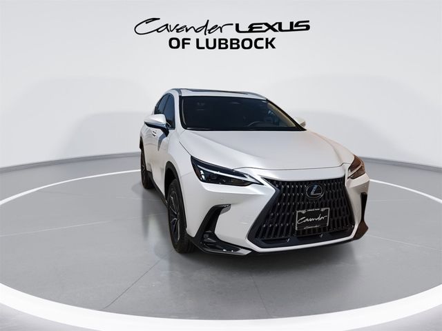 2025 Lexus NX 250