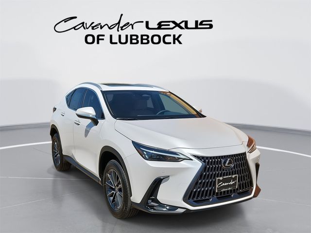 2025 Lexus NX 250