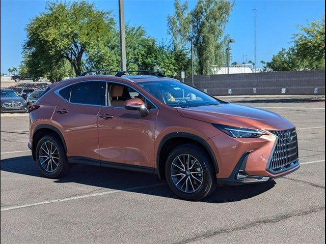 2025 Lexus NX 250