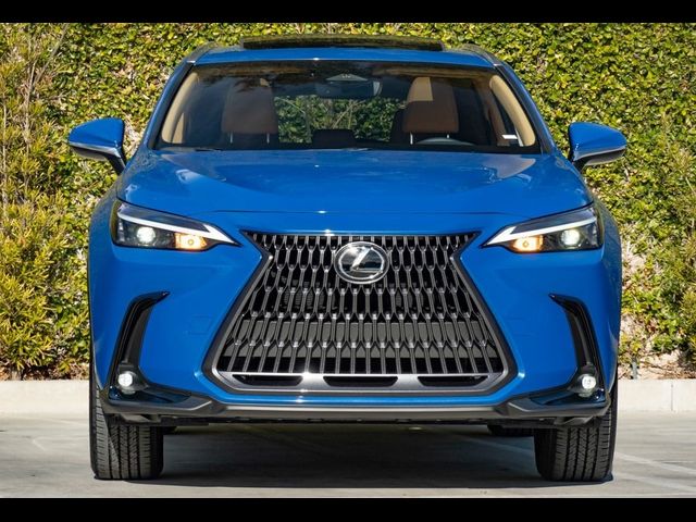 2025 Lexus NX 250