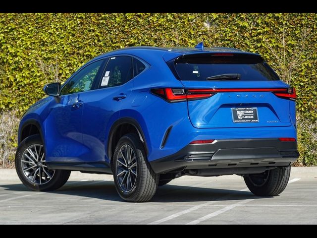 2025 Lexus NX 250