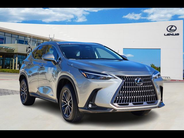 2025 Lexus NX 250