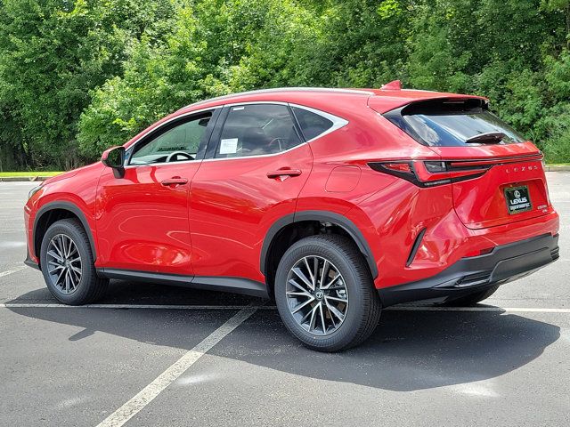 2025 Lexus NX 250