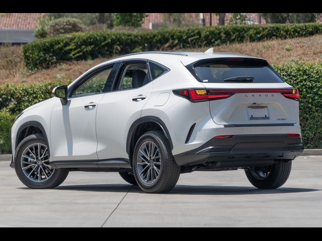 2025 Lexus NX 250