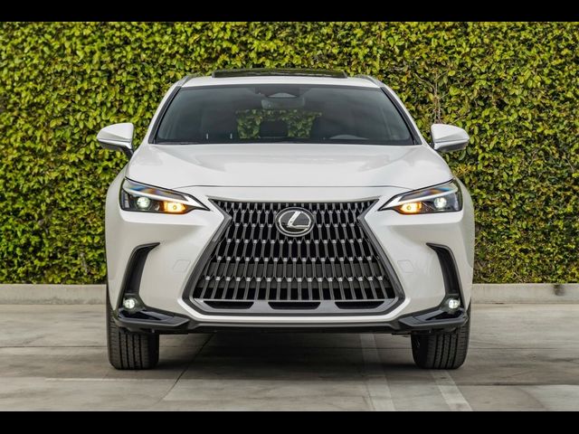 2025 Lexus NX 250